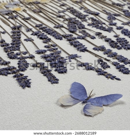 Delicate artistic composition featuring pressed lavender stems, soft chamomile flowers, and butterflies arranged on light surface, symbolizing tenderness, romance, and handmade natural beauty design.