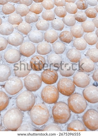 Delicate Beauty of Orbicular Stone Pattern