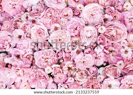 Delicate blooming festive roses and light pink flowers background, blossoming rose flower soft pastel frame, bouquet floral card, selective focus