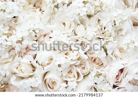 Delicate blooming light rose and white hydrangea flowers, blossoming roses soft pastel floral background, festive wedding bouquet, flower card