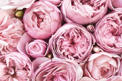 Delicate Bloeiende Roze Bloemen, Bloeiende Rozen Feestelijke Achtergrond, Boeket Pastel Bloemenkaart, Getinte, Selectieve Focus
