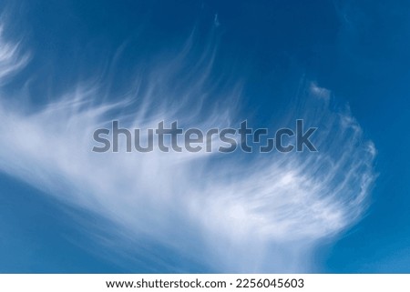 A delicate cirrus cloud made of small ice crystals frayed by the high altitude wind against a blue sky