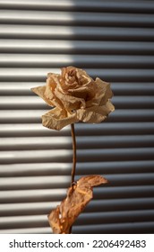 Delicate dried tea rose bud against the background of ajar blinds. Selective focus. bokeh effect - Shutterstock ID 2206492483