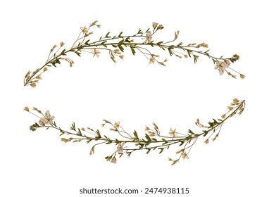 Delicate floral arrangement of dried wildflowers isolated on white. Design element for wedding cards, invitations, frames and floral arrangement. Pressed floristry, oshibana. - Powered by Shutterstock