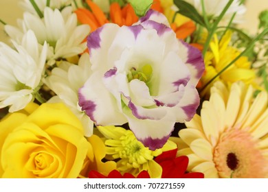 delicate flower