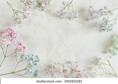 Delicate frame with copy space of a colored pattern of gypsophila flowers on a light background. Flat lay, top view festive background. Soft focus