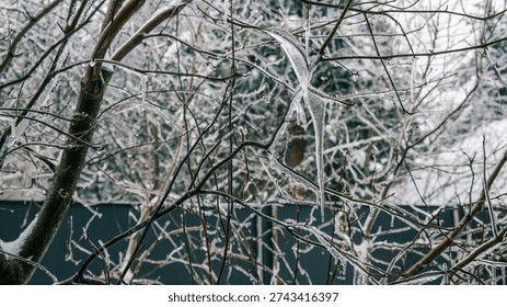 Delicate icicles hang from bare tree branches, sparkling with frozen water after a recent cold snap