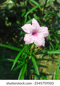 Una delicada flor color