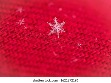 delicate macro image of a snowflake on red background.  soft defocused, shallow depth of field with plenty room for text/copy. 