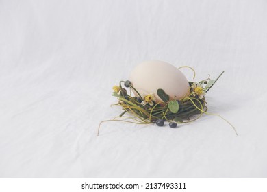 Delicate Nest Of Flowers Cradling An Egg, Easter Theme Background