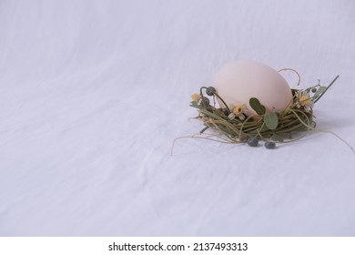 Delicate Nest Of Flowers Cradling An Egg, Easter Theme Background