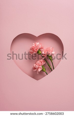 Delicate pink carnations arranged inside a vertical heart-shaped paper cutout conveying love, tenderness and happy mother day sentiments for card, gift or romantic holiday visuals