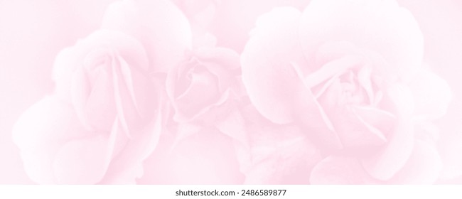 Flores rosadas delicadas en