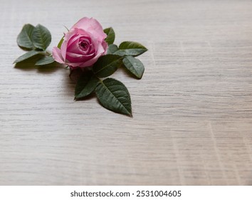 Delicate Pink Rose with Green Leaves on Light Wooden Surface, Sophisticated and Elegant Composition - Powered by Shutterstock