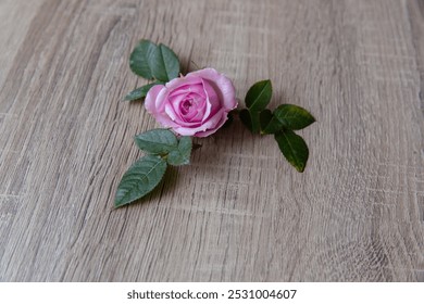 Delicate Pink Rose with Green Leaves on Light Wooden Surface, Sophisticated and Elegant Composition - Powered by Shutterstock