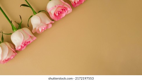 Delicate Pink Roses On Beige Background. Minimal Trendy Composition. Abstract Art Idea. Romantic Pastel Pink Rose Flowers. Modern Aesthetic. Neutral Earth Tones Banner