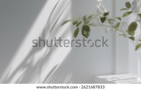 A delicate plant casting soft shadows on a light wall, creating a serene and calming atmosphere.