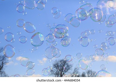 Delicate soap bubbles floating in a blue sky