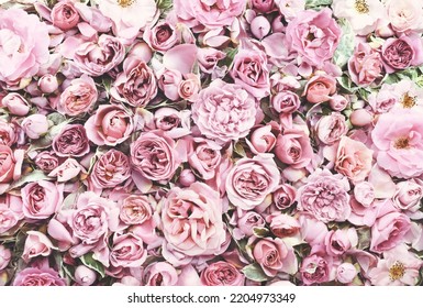 Rosas festivas y flores