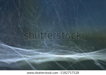 Similar – Foto Bild Schwarza 1 Natur Wasser