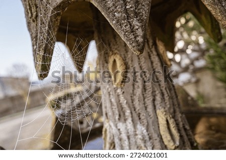 Delicate spider web, covered with tiny dew drops, creating an intricate natural pattern, stretching across a textured concrete garden sculpture resembling a tree trunk