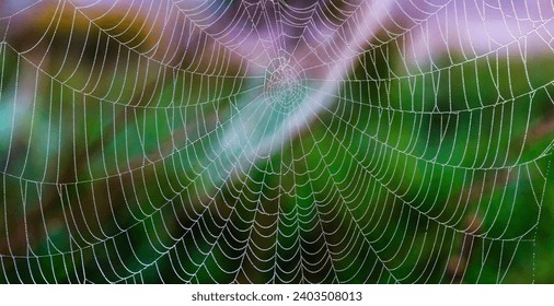 Delicate Spider Web in Water Droplet on Background of Dewy Leaves - Powered by Shutterstock