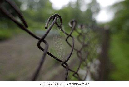 Delicate spiderweb capturing light on a corroded chain link fence, symbolizing nature's resilience and adapting to man made structures in an outdoor setting