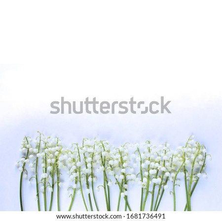 Similar – White flowers on white