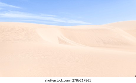 Delicate wind-swept patterns carved into a massive sand dune, creating an artistic and textured desert landscape