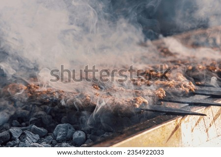 Delicious Adana kebabs grilled on a bbq with smoke, close up, outdoor photography