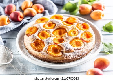 Delicious Apricot Cake Sprinkled Sugar Powder On Garden Table.