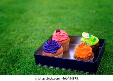 Delicious, Beautiful Cakes In A Box. Picnic At Bachelorette Part