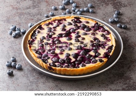 Delicious blueberry tart with custard and crispy crust close-up in a plate on the table. Horizontal

