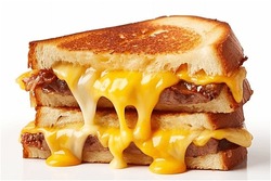 Delicious Burger Sandwich With Melting Cheese