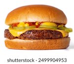 Delicious cheeseburger, mouthwatering double cheeseburger, fast food menu, double burger with cheese and sauce side view isoleted on white background 