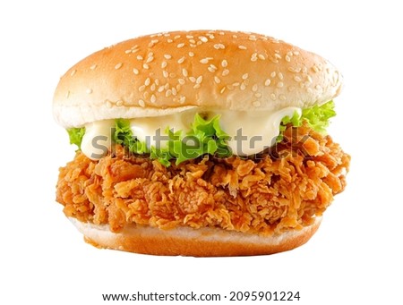 Delicious chicken burger, double burger with crispy chicken meat, salad and sauce isolated on white background