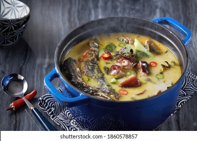 Delicious Chinese Food, Yellow Bone Fish Soup