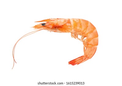 Delicious Cooked Whole Shrimp Isolated On White