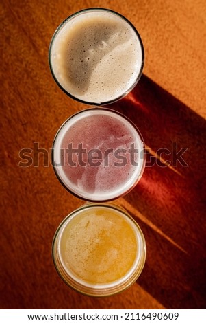 delicious craft beers of different types and colors on a wooden table with direct sunlight and brewing concept
