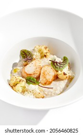 Delicious creamy risotto with sea scallop and cauliflower. Elegant main course with seafood on white plate. Grilled scallop with cauliflower and creamy rice. Seafood risotto with scallops