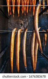 Delicious Eel Freshly Smoked Food. Anguilla Anguilla.