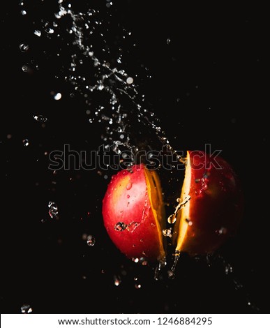 Similar – Image, Stock Photo The two willow catkins