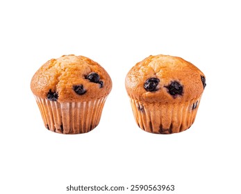Delicious fresh baked blueberry muffins isolated on white background.