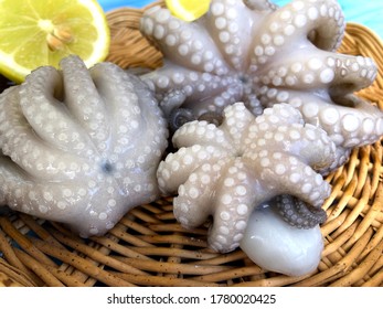 Delicious Fresh Raw Octopus From Bari, Puglia