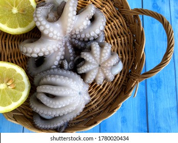 Delicious Fresh Raw Octopus From Bari, Puglia