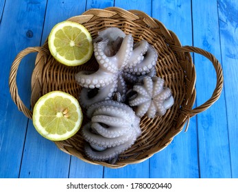 Delicious Fresh Raw Octopus From Bari, Puglia