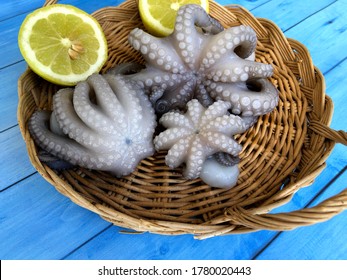 Delicious Fresh Raw Octopus From Bari, Puglia