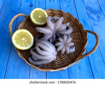 Delicious Fresh Raw Octopus From Bari, Puglia