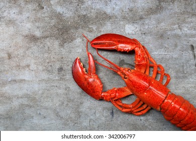 A delicious freshly steamed lobster