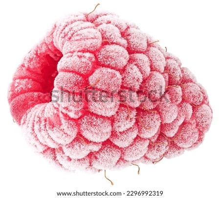 Delicious frozen raspberry isolated on a white background. Raspberry covered with hoarfrost.